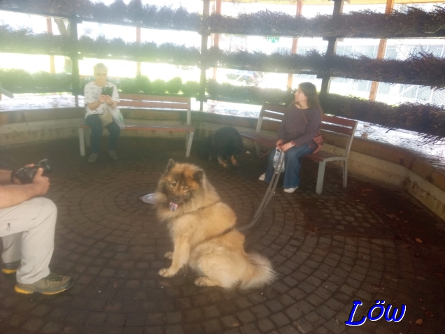 20.4.2025 - Wellness